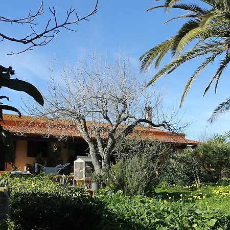 Il Giardino Delle Palme *