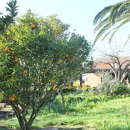 Il Giardino Delle Palme Bed & Breakfast Campanedda