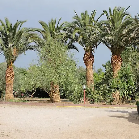 Il Giardino Delle Palme