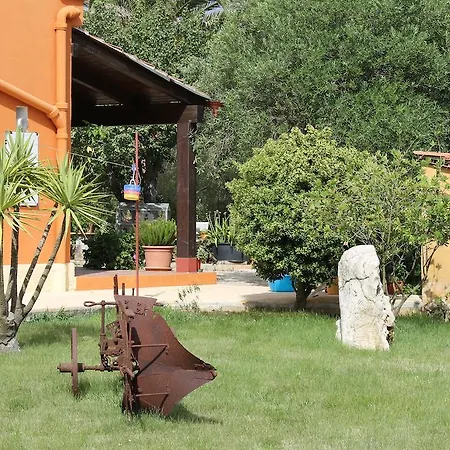 Il Giardino Delle Palme