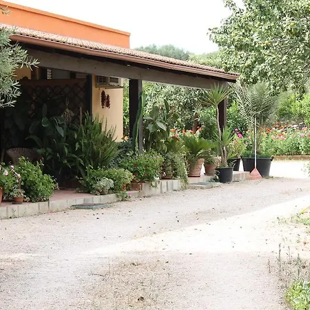Il Giardino Delle Palme *